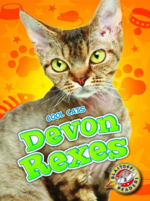 cover image of Devon Rexes